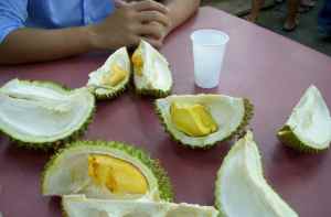 Meaty, fleshy durians